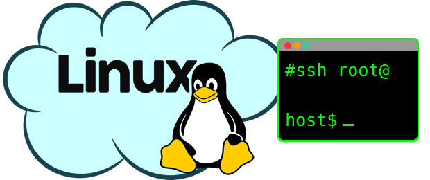 从Socket error丢失网络连接的Linux SSH恢复pts会话