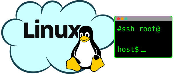 从Socket error丢失网络连接的Linux SSH恢复pts会话
